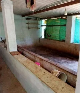 Farm House & Agricultural Land for Sale Mavinakoppa, Hosanagara