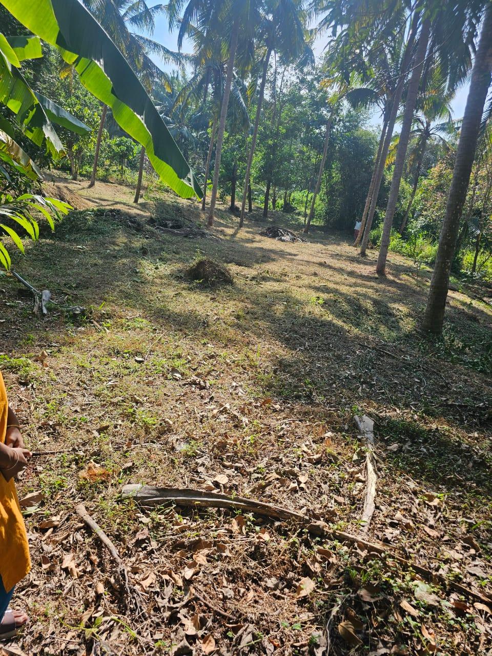 House Plot for Sale in Perumbala, Kerala