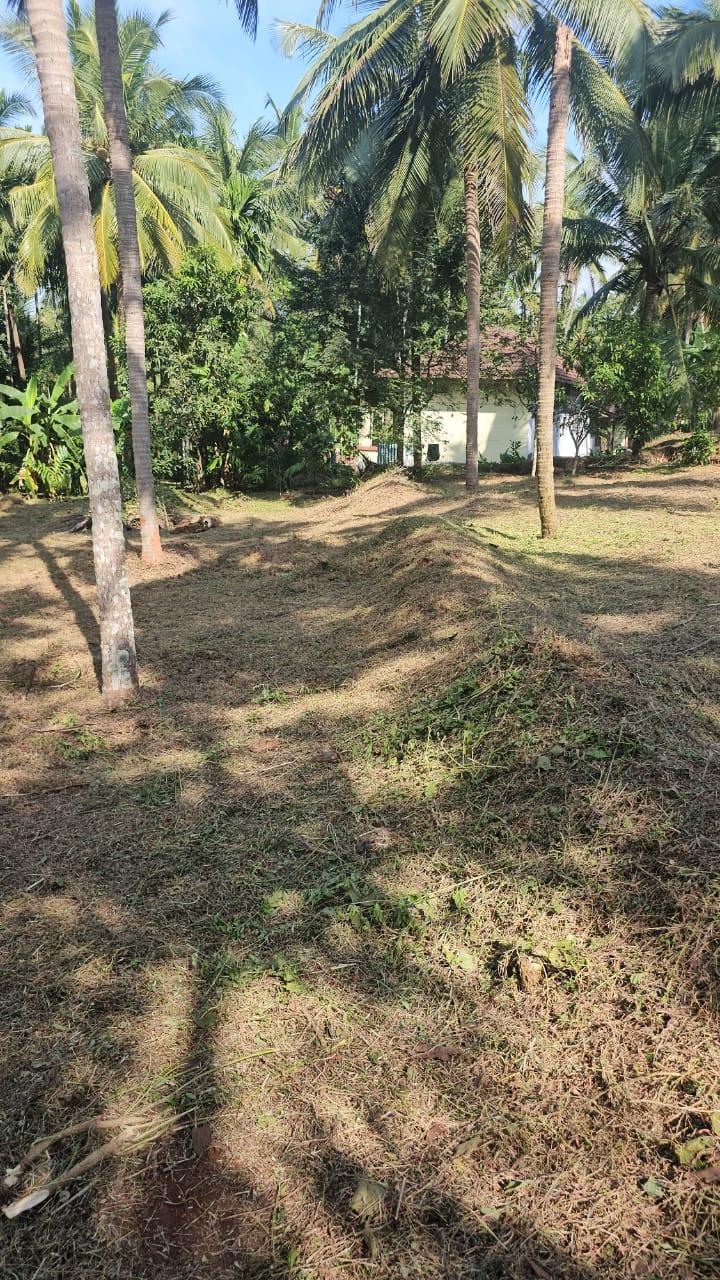 House Plot for Sale in Perumbala, Kerala