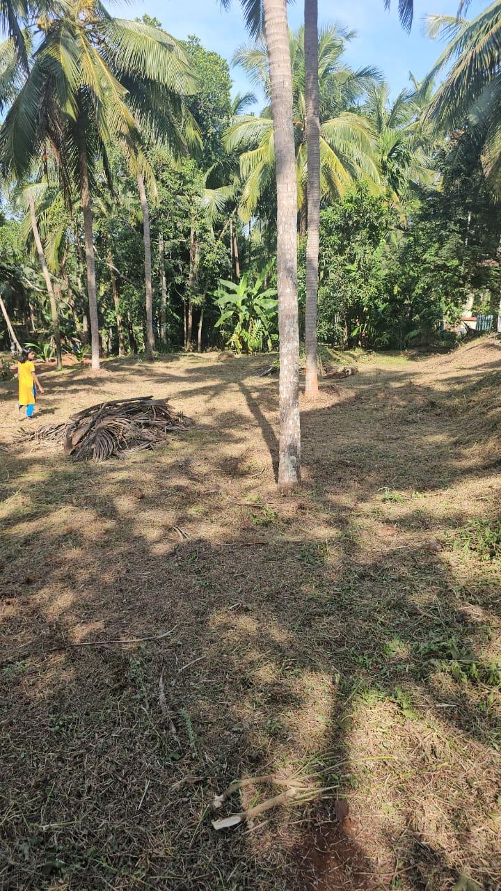 House Plot for Sale in Perumbala, Kerala