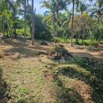 House Plot for Sale in Perumbala, Kerala
