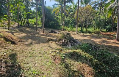 House Plot for Sale in Perumbala, Kerala