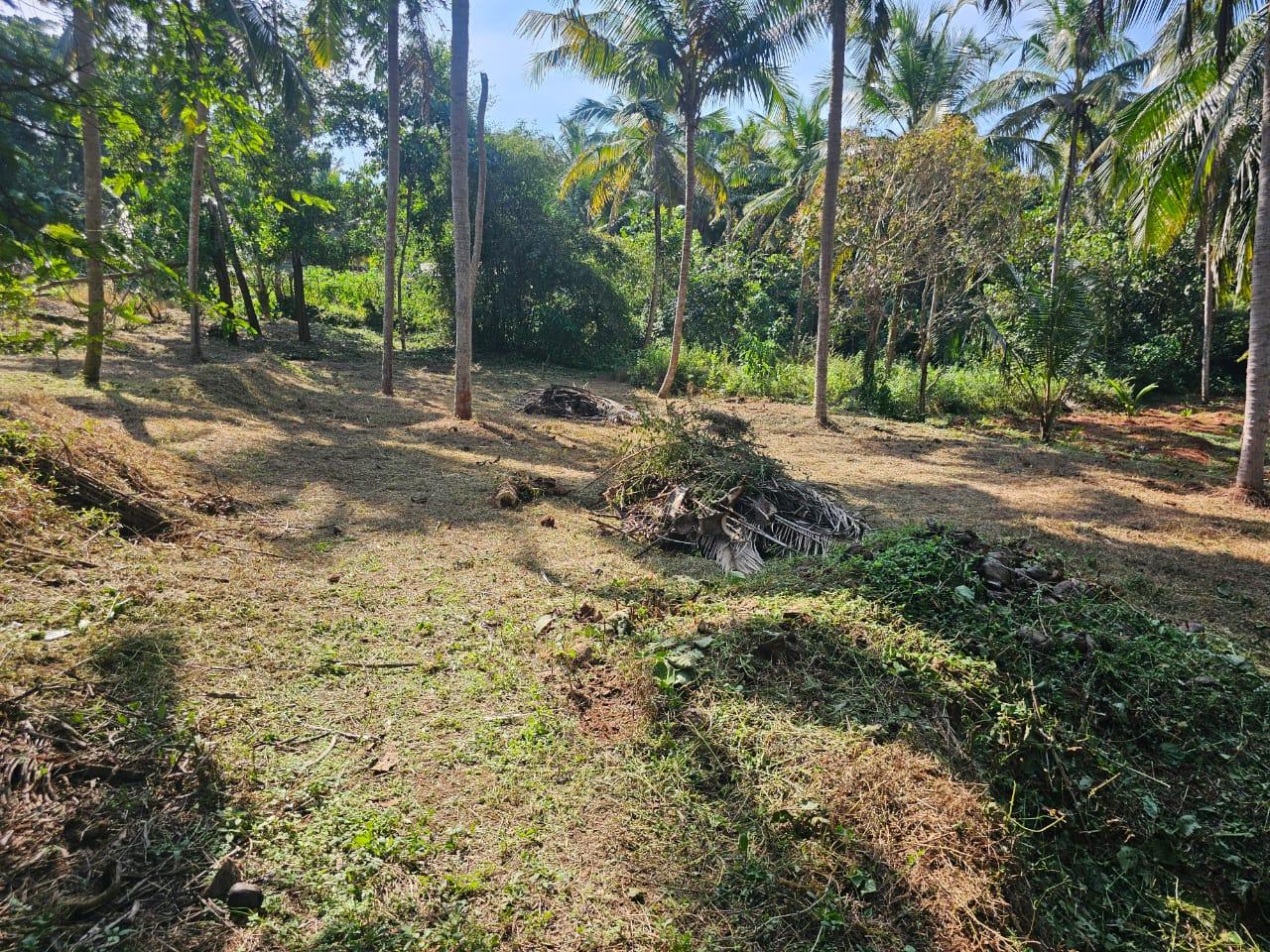 House Plot for Sale in Perumbala, Kerala