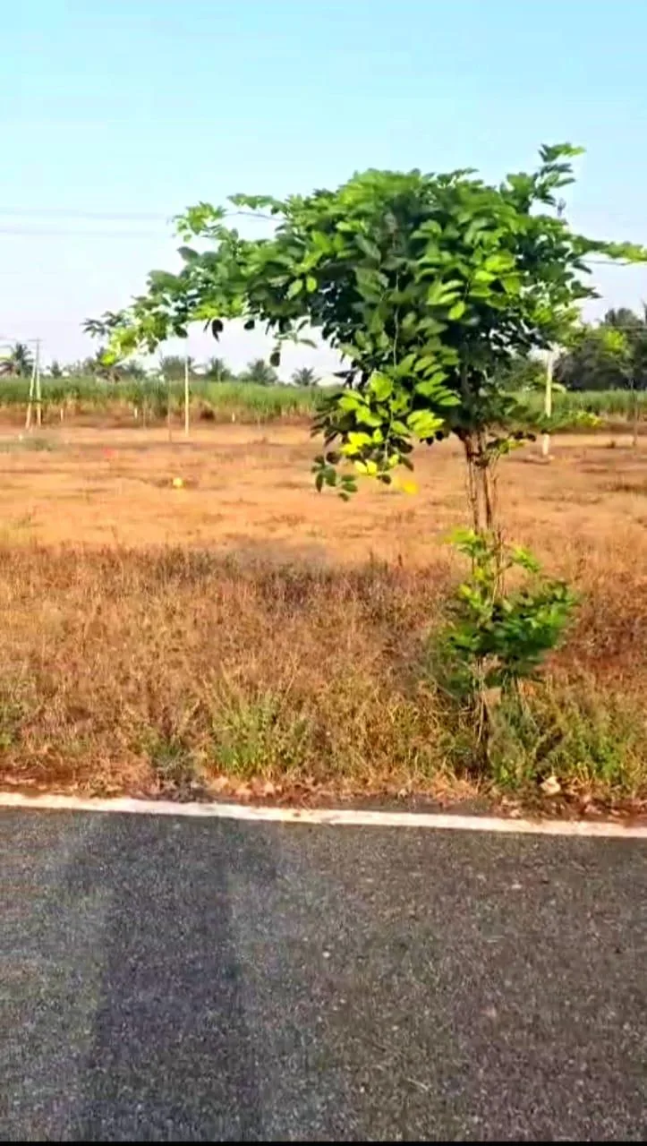 30x40 Site for Sale in Mysore