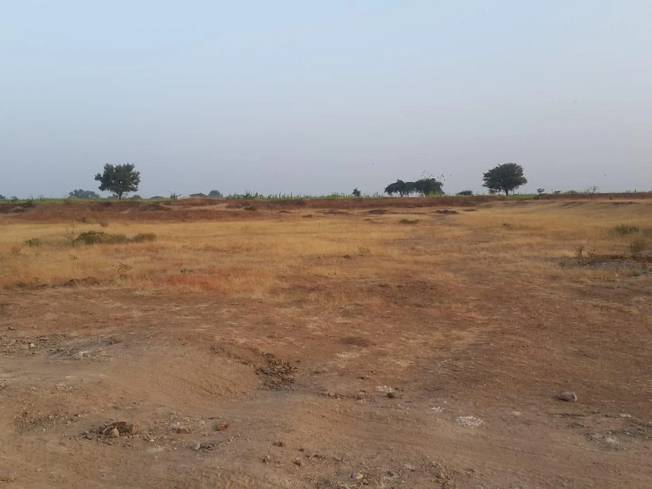 Agricultural Land for Sale in Sattigeri, Belagavi