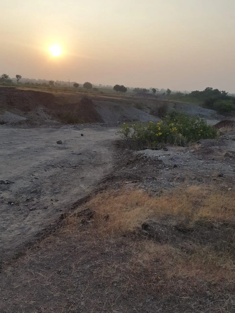 Agricultural Land for Sale in Sattigeri, Belagavi