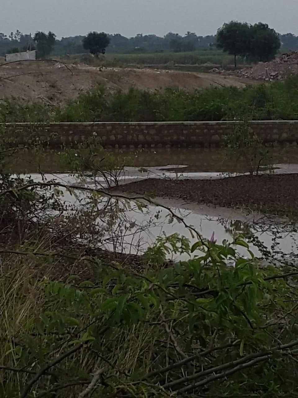 Agricultural Land for Sale in Sattigeri, Belagavi