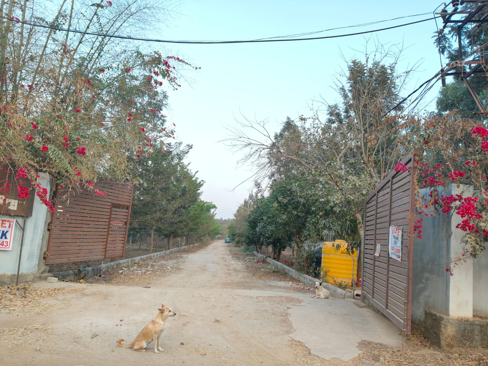 30x40 Plot for Sale in Sarjapur, Bangalore