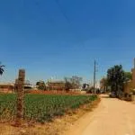 Land for Sale in Devanahalli, Bangalore