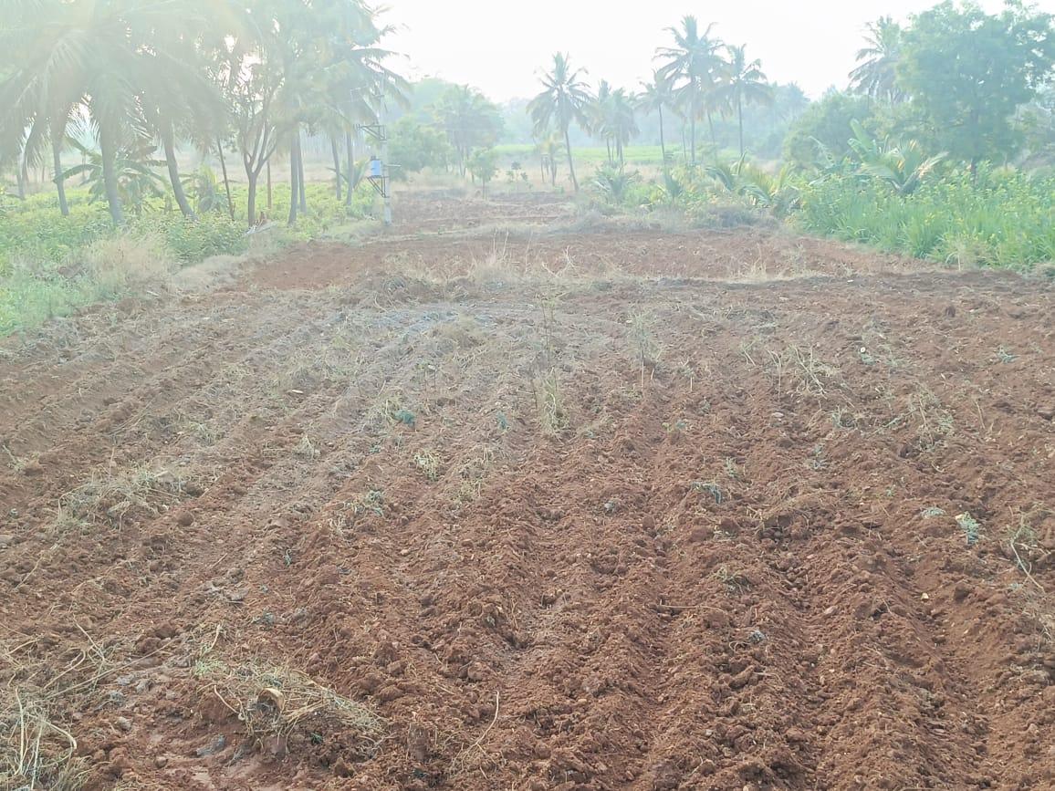 Agricultural Land for Sale in Harohalli, Bangalore