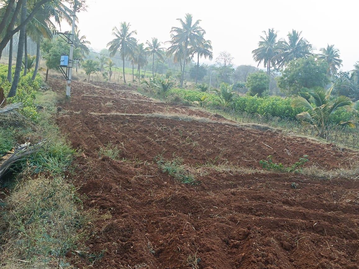 Agricultural Land for Sale in Harohalli, Bangalore