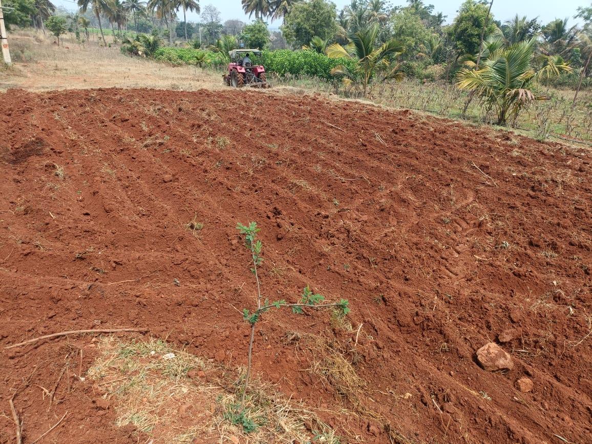 Agricultural Land for Sale in Harohalli, Bangalore
