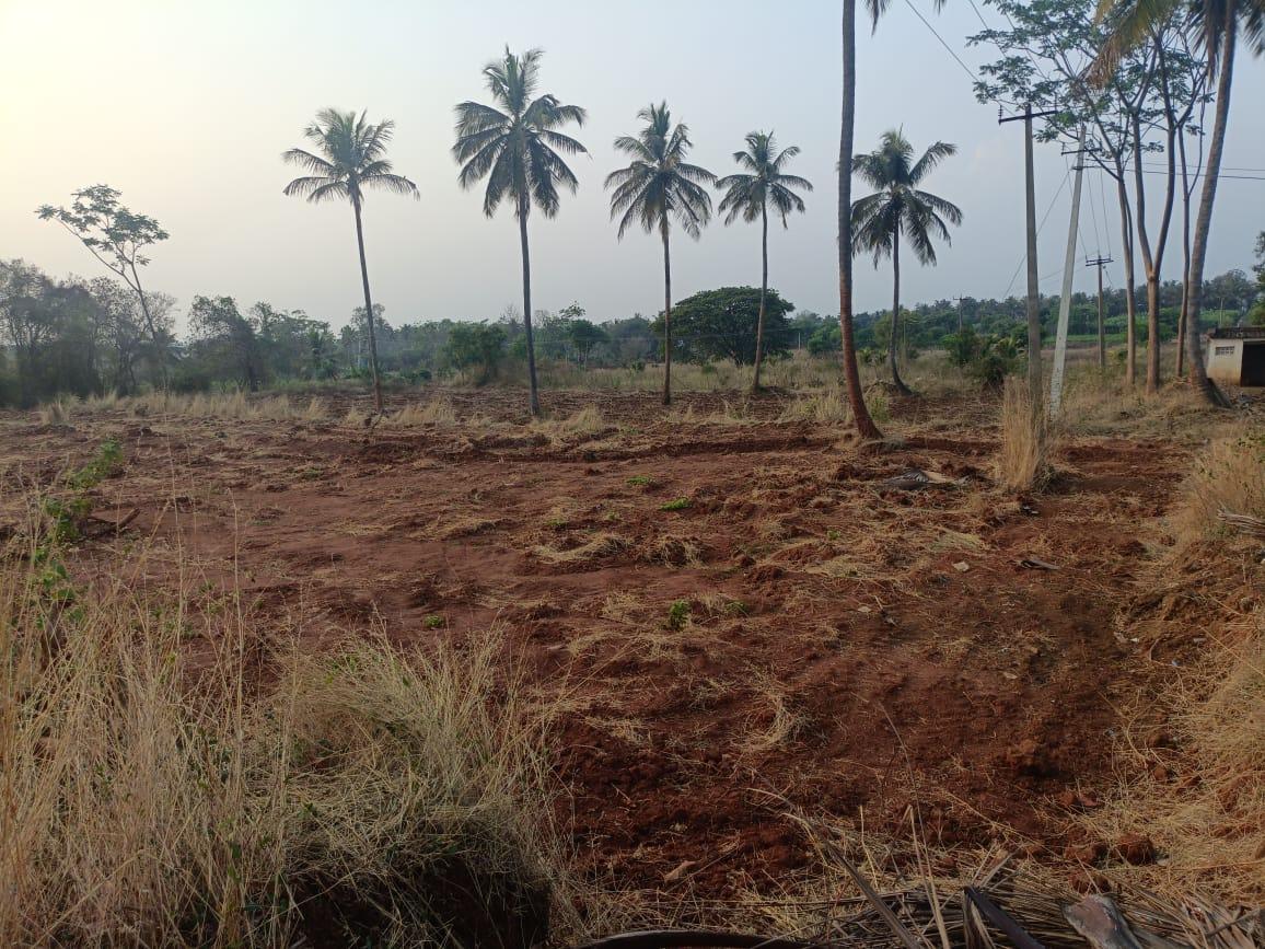 Agricultural Land for Sale in Harohalli, Bangalore
