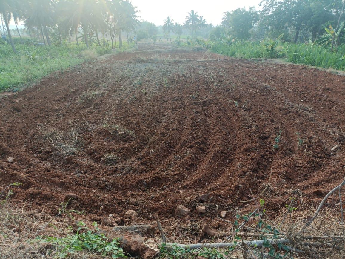 Agricultural Land for Sale in Harohalli, Bangalore