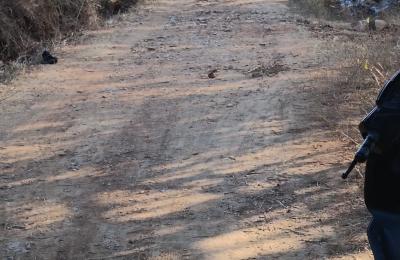 Agricultural Land for Sale in Harohalli, Bangalore