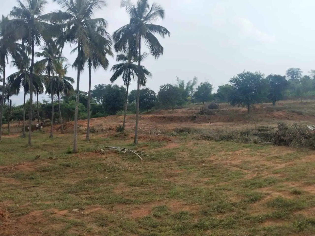 Land for Sale in Harohalli Anekal Jigani Road 1.39 Acres Main Road Facing STRR 400 Mtrs