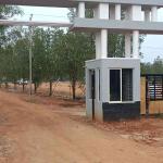 Premium Township Plots for Sale in Gowribidnur
