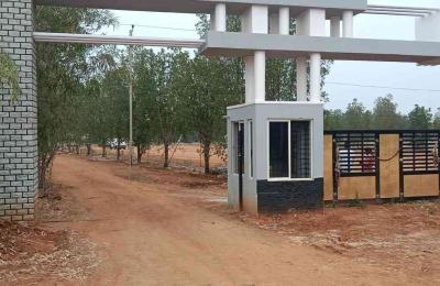 Premium Township Plots for Sale in Gowribidnur