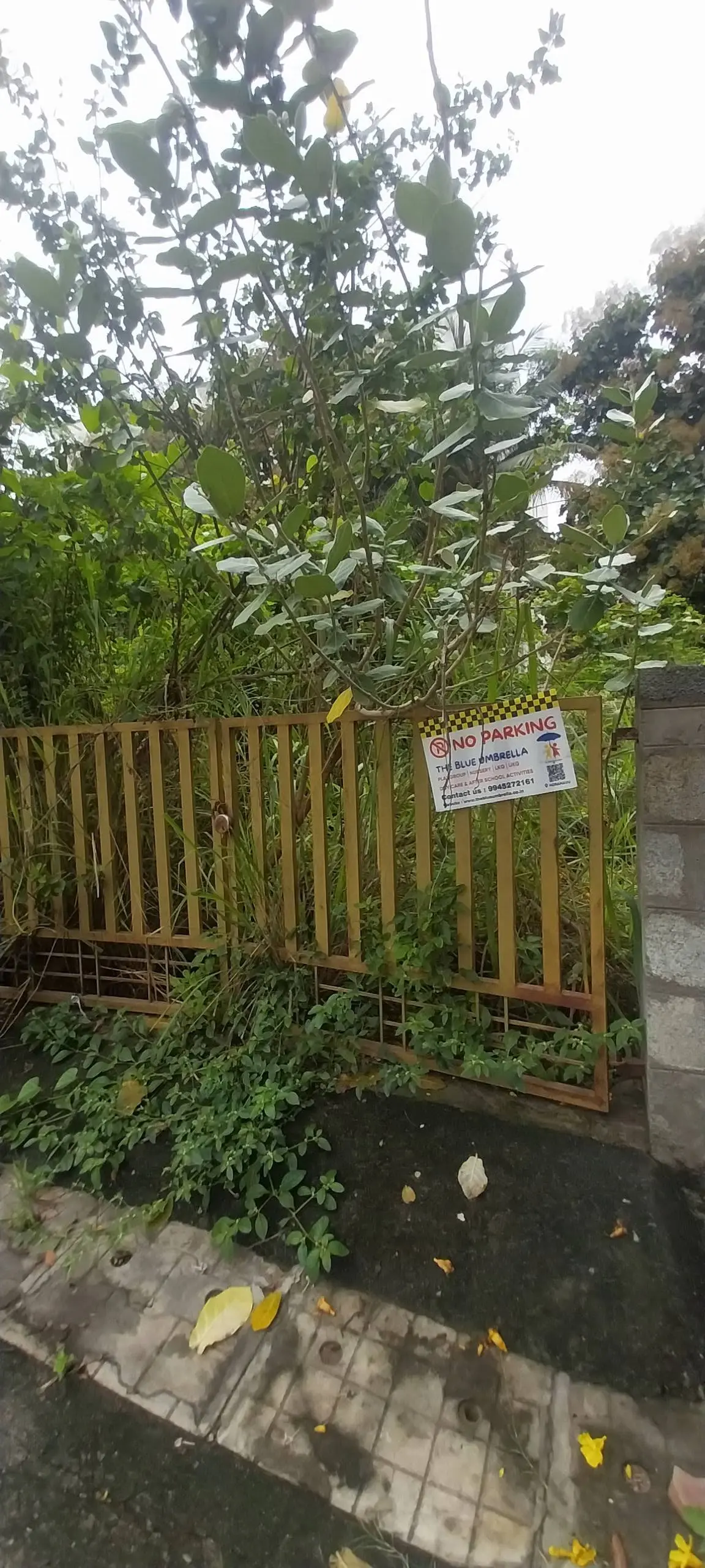 North-Facing Residential Plot for Sale in Coconut Groove Layout, Horamavu, Bengaluru