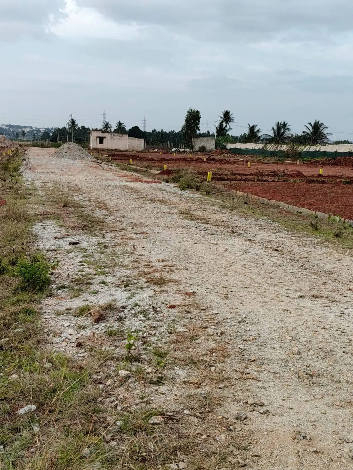 Residential Plots for Sale Near Bannikuppe Village, Chikkaballapur