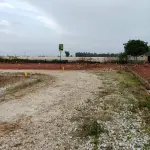 Residential Plots for Sale Near Bannikuppe Village, Chikkaballapur