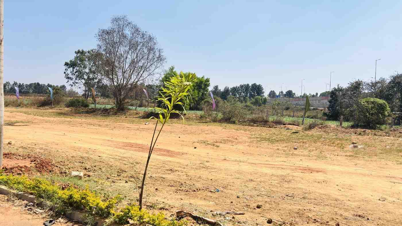 devanahalli propeties