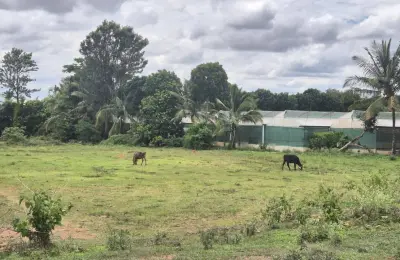 1 Acre Agricultural Land for Sale in Sakkaregollahalli, Doddabelavangala