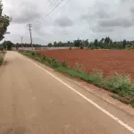 10 Guntas DC Converted Land Near STRR Toll | Devanahalli Highway |
