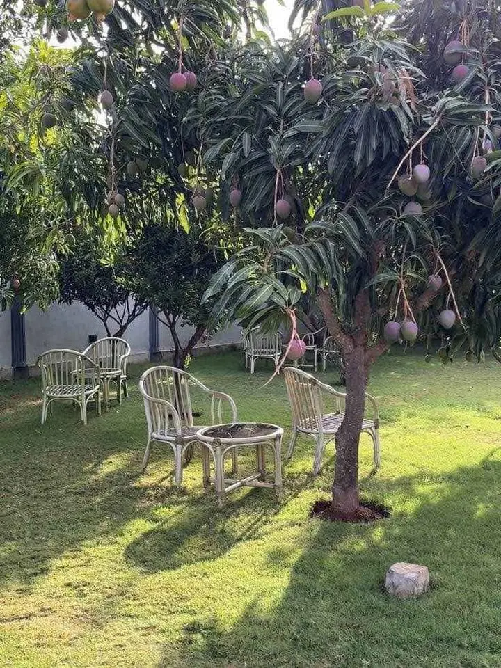 Luxury 3 BHK Duplex Farmhouse on 4.21 Acres Near Bannerghatta Road
