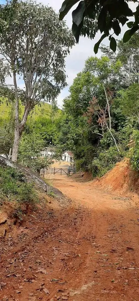 Luxury 3 BHK Duplex Farmhouse on 4.21 Acres Near Bannerghatta Road