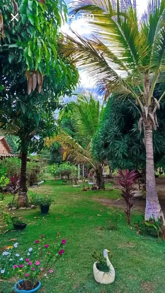 Luxury 3 BHK Duplex Farmhouse on 4.21 Acres Near Bannerghatta Road