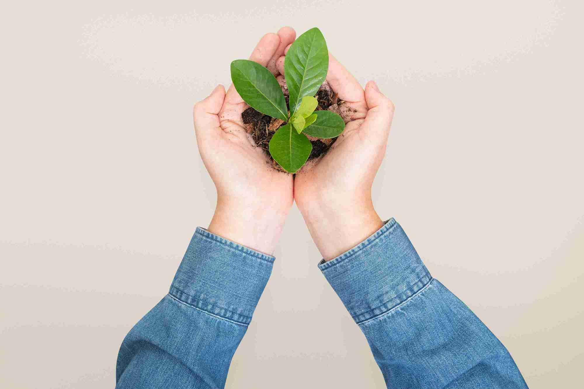 hands-cupping-plant-save-environment-campaign_11zon