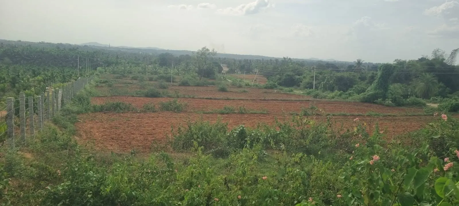 Investment Land for Sale Near Nelamangala, Bengaluru