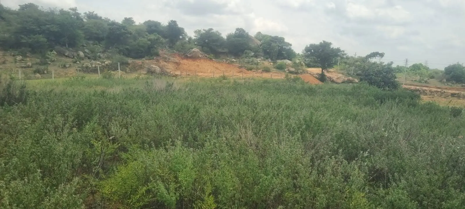 Investment Land for Sale Near Nelamangala, Bengaluru