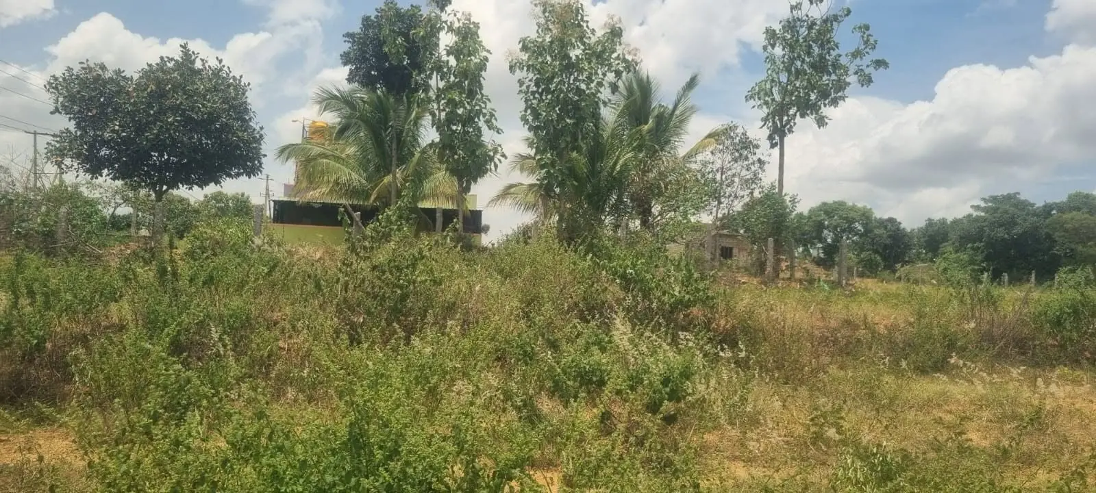 Investment Land for Sale Near Nelamangala, Bengaluru