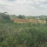Investment Land for Sale Near Nelamangala, Bengaluru