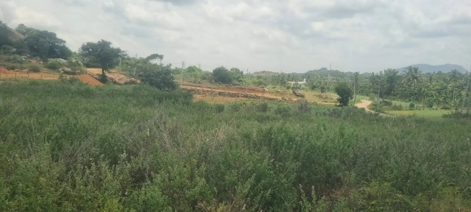 Investment Land for Sale Near Nelamangala, Bengaluru