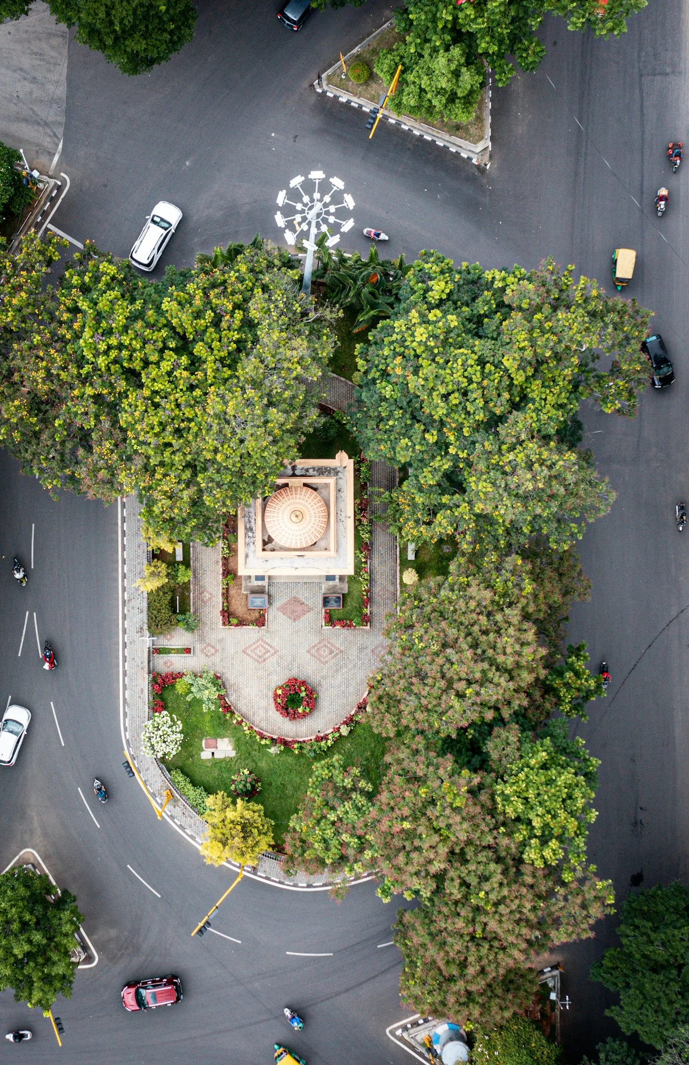 Aerial view of green trees and plants
