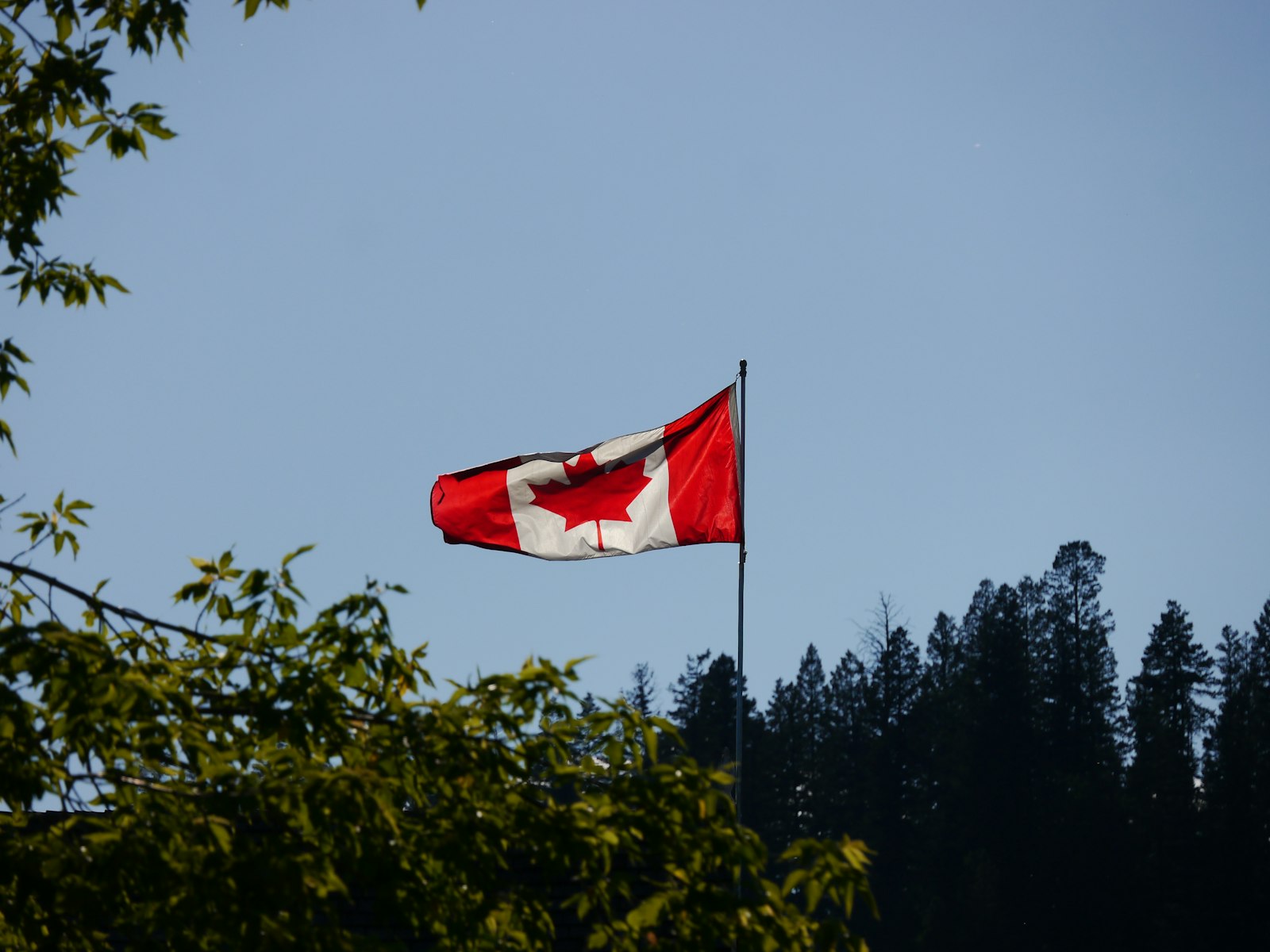 Canadian flag representing Canada-based NRI buyers and the India-Canada tax treaty