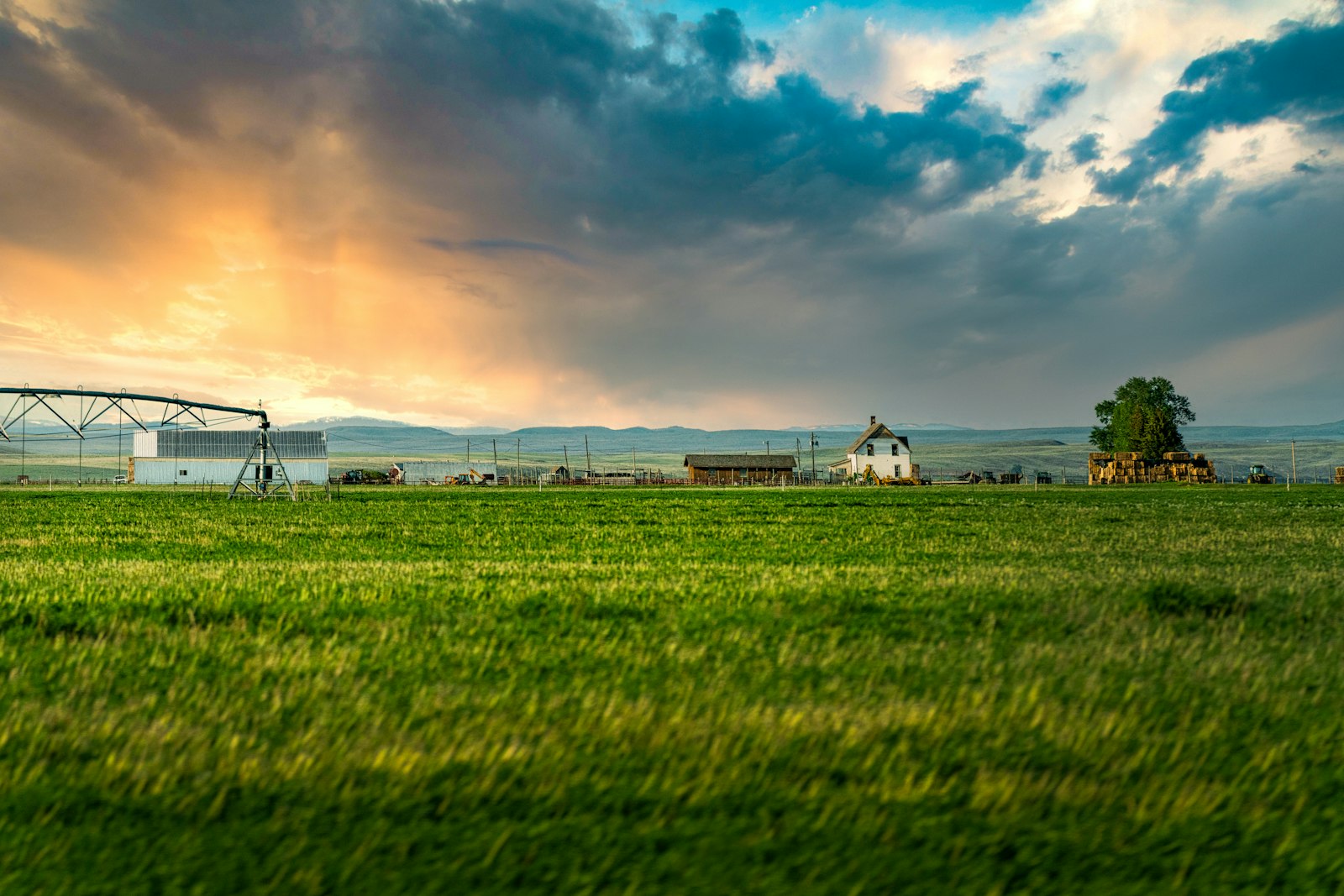 House on a green grass field representing documents required for property registration in Karnataka 2026