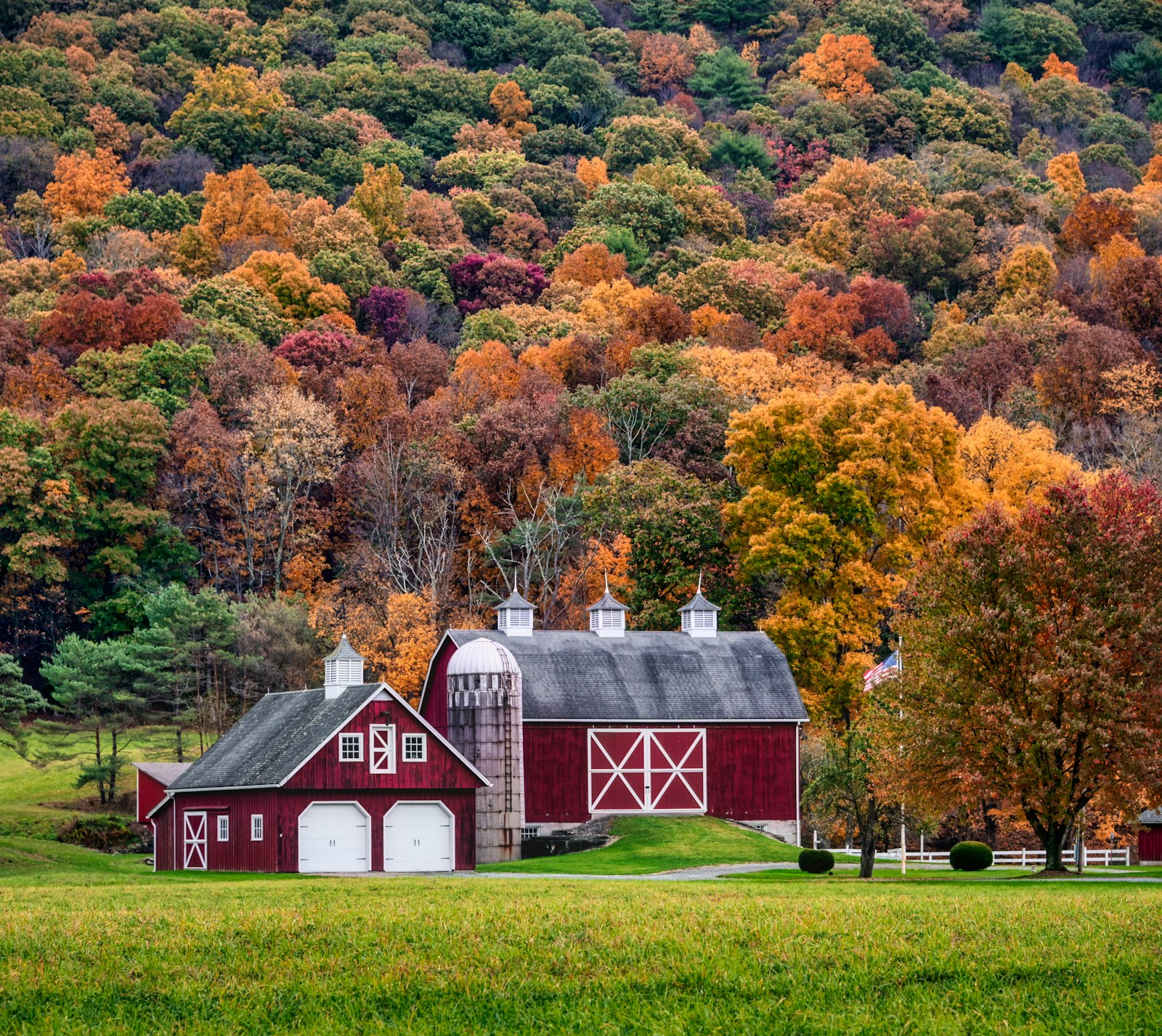 Red and white barn surrounded by trees representing farm houses in Bangalore for rent benefits over apartments