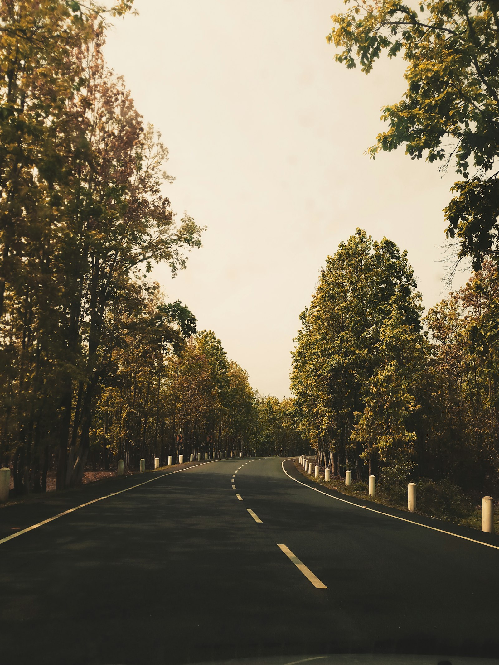 Wide planned road in Gandhinagar Mangalore residential area