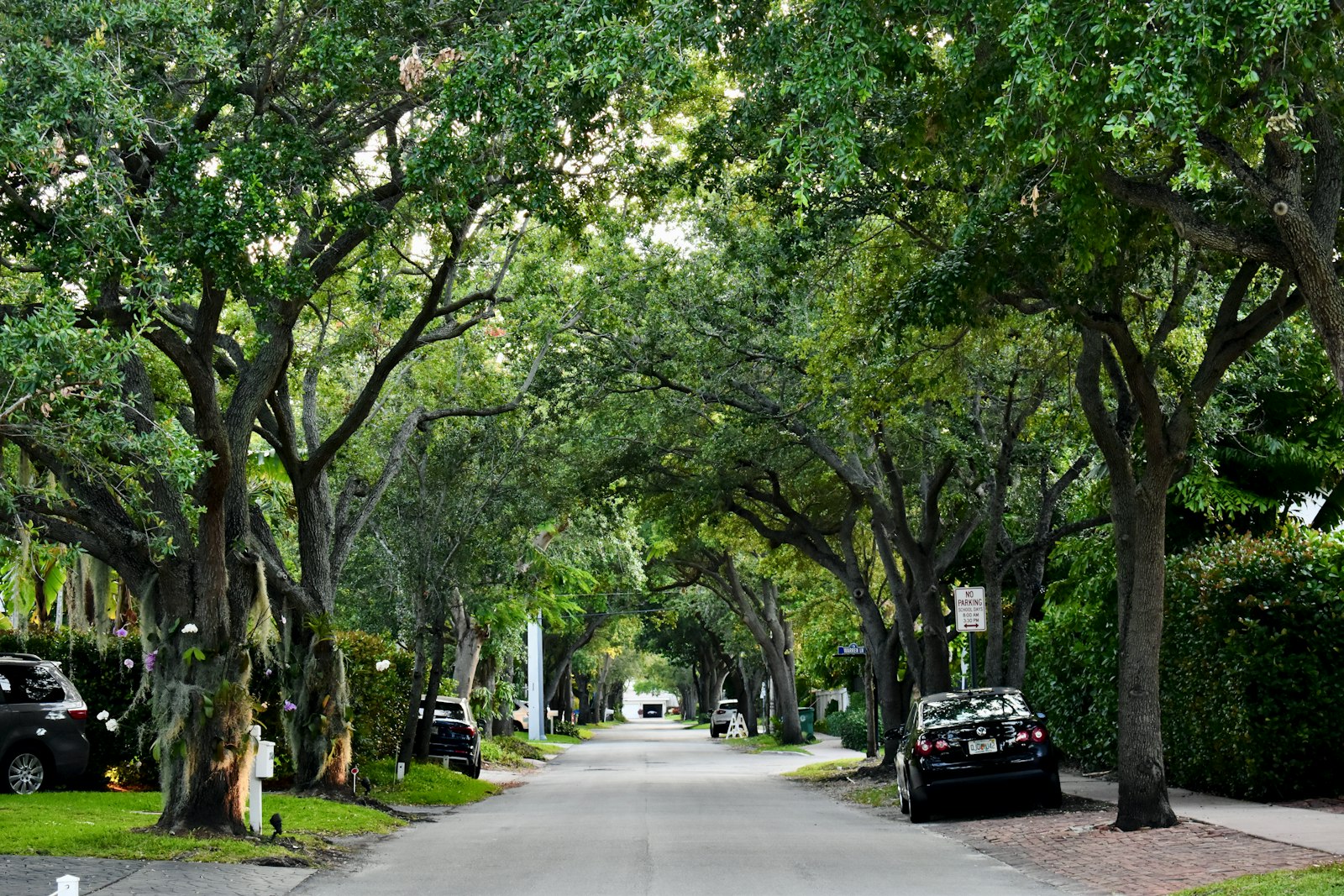 Residential street in Gandhinagar Mangalore