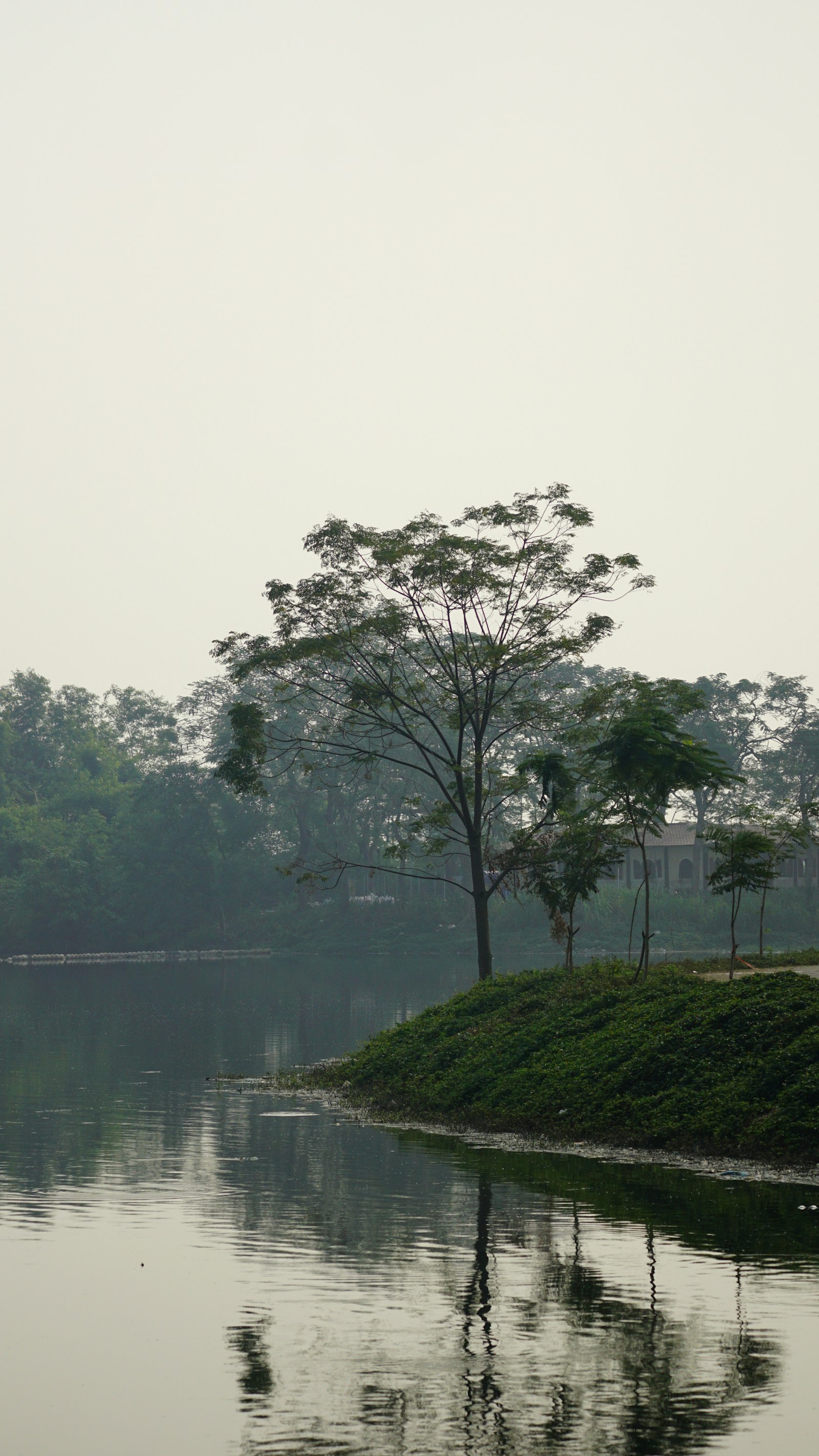 Calm lake with trees representing Gunjur Lake green space in Bangalore