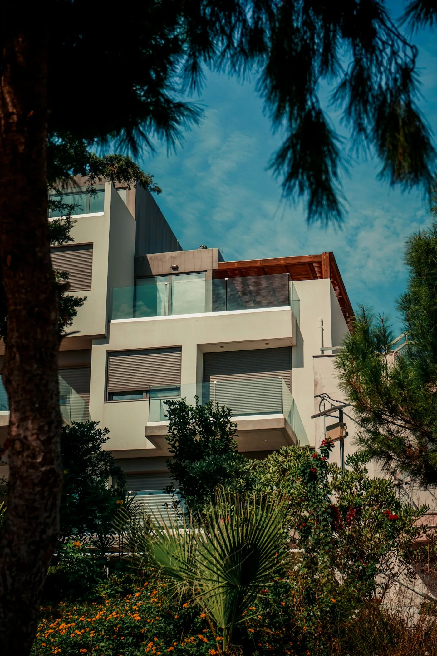 House with trees and bushes around it