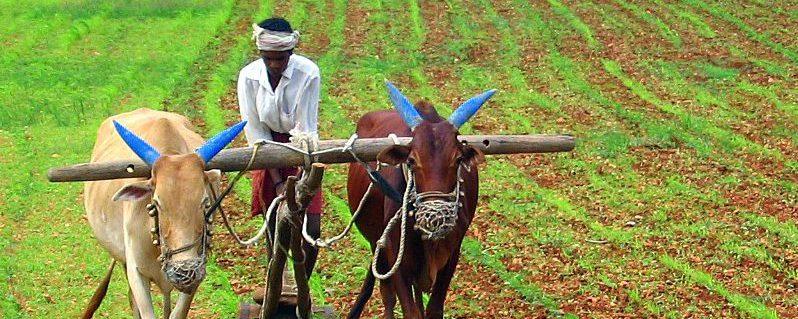 Karnataka Land Reforms Act on Property Ownership