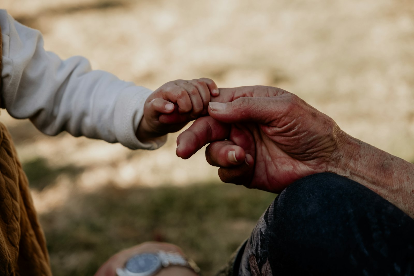 Grandmother and grandchild hands representing generational family ties
