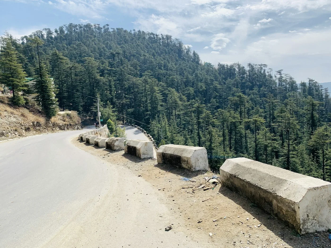 Road with trees alongside