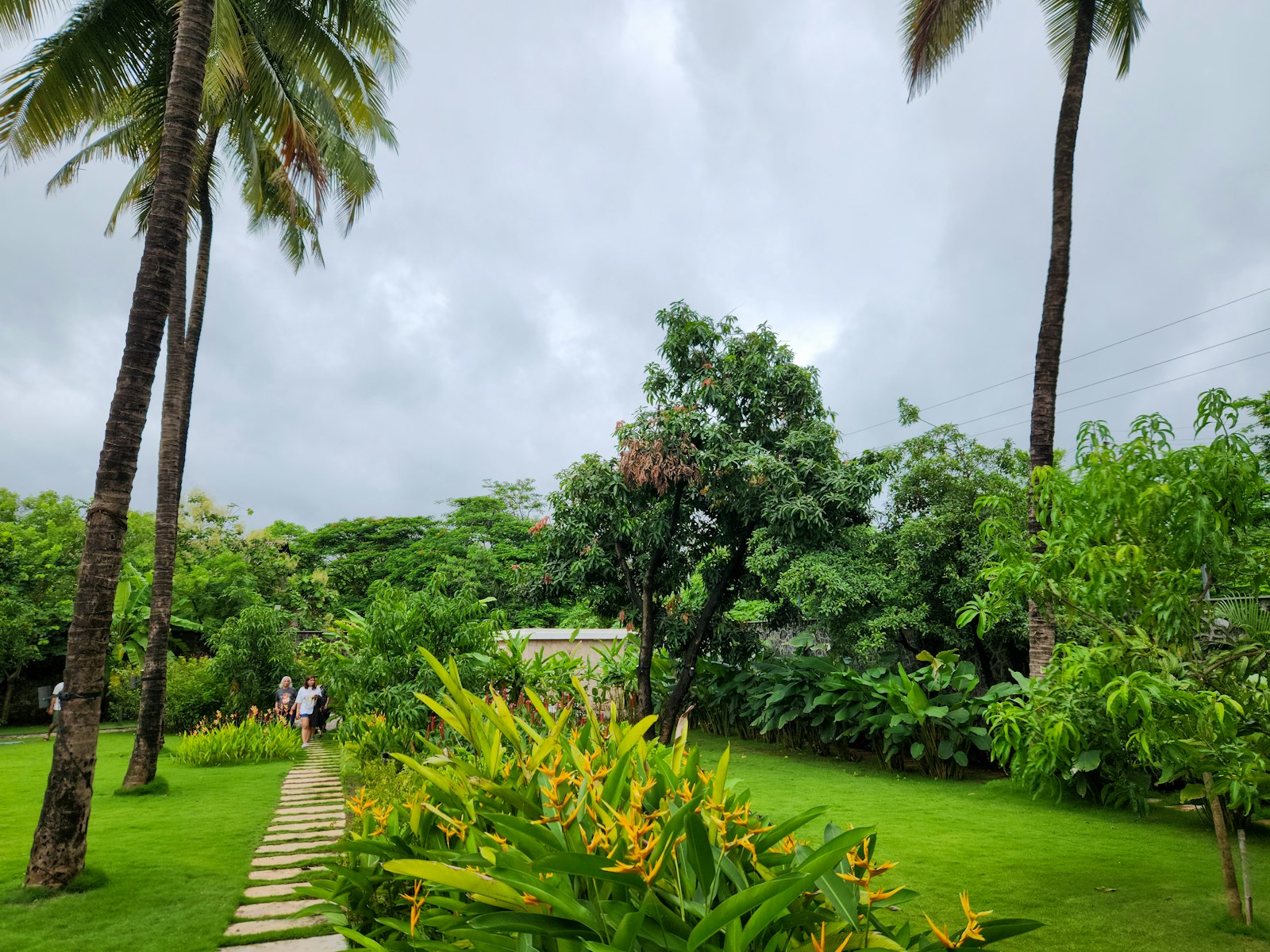 Green park space in Kadri Hills Mangalore