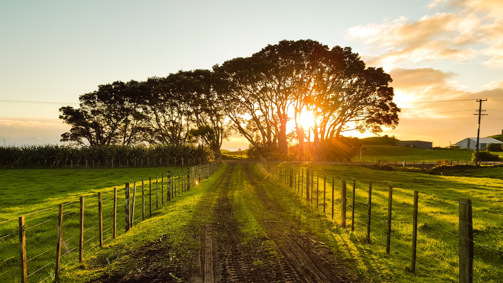 Road between wooden fences representing Karnataka Land Revenue Rules for property buyers 2026